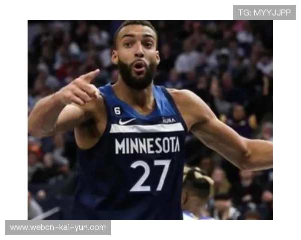 森林狼防守效率提升，戈贝尔作用显现，森林狼戈麦斯