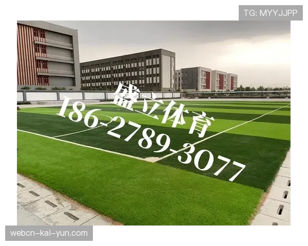 球场草皮混合型材料长期维护成本比较研究，球场真草皮多少钱一平方